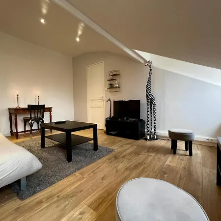 Apartment Esprit Cocooning / Secteur Centre / Netflix Roanne