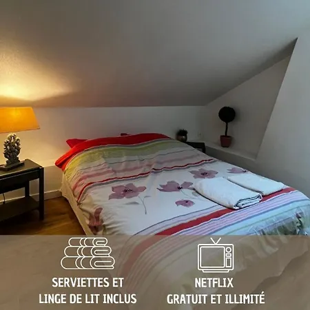 Esprit Cocooning / Secteur Centre / Netflix Apartment *